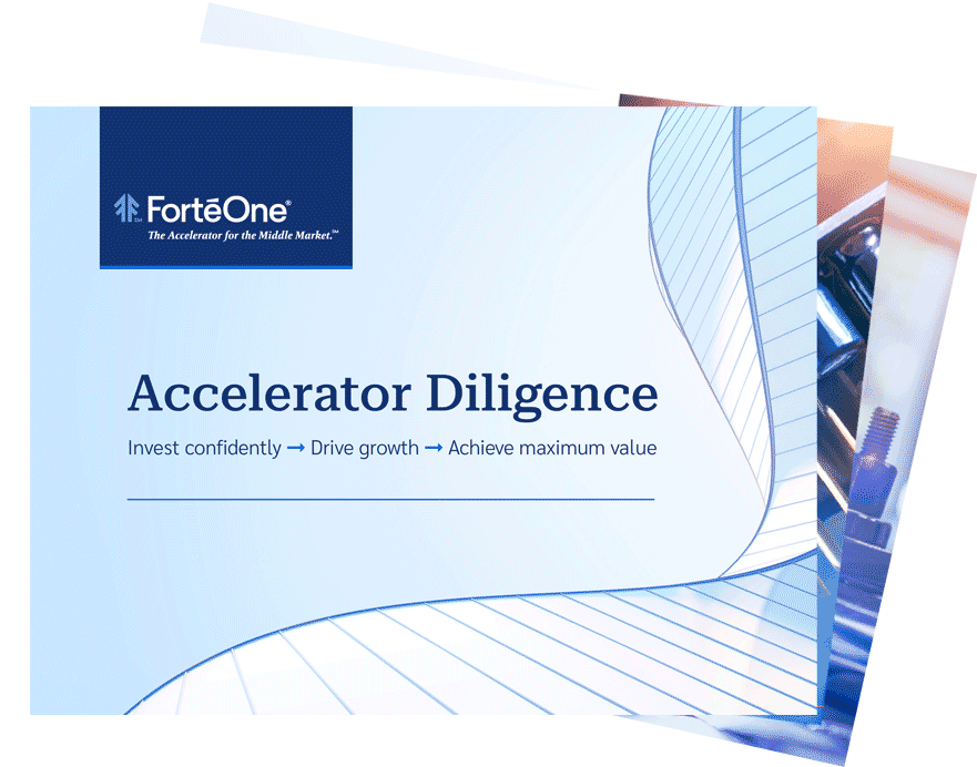 Accelerator Diligence brochure pages